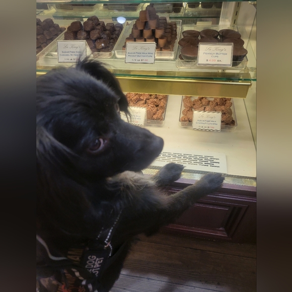 Meet LT Toby - Picture 11 of 13